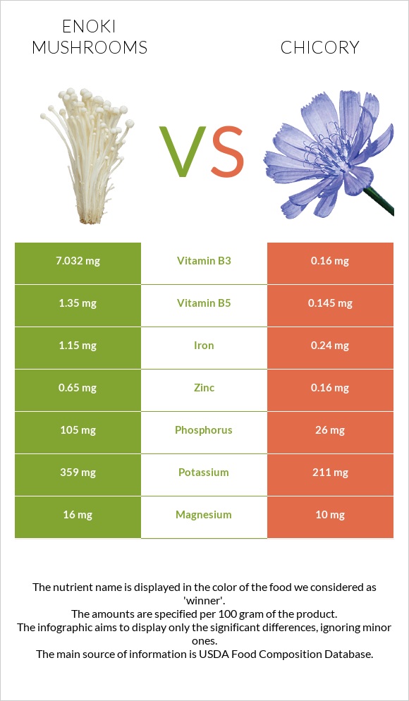 Enoki mushrooms vs Chicory infographic