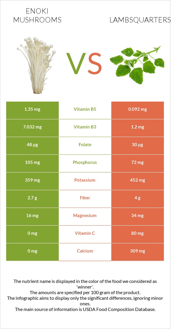 Enoki mushrooms vs Lambsquarters infographic