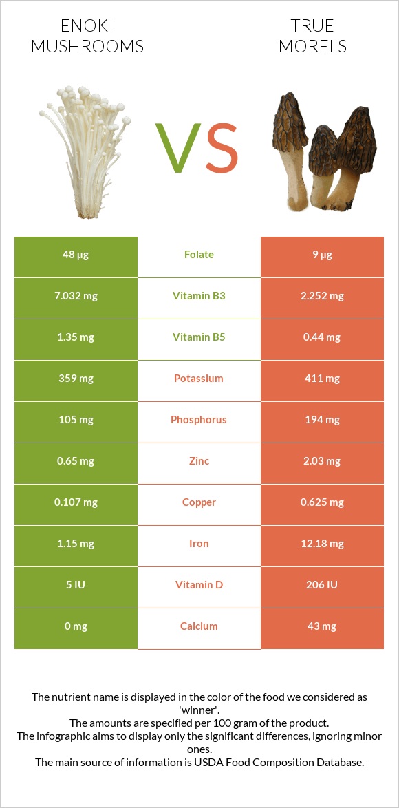 Enoki mushrooms vs True morels infographic