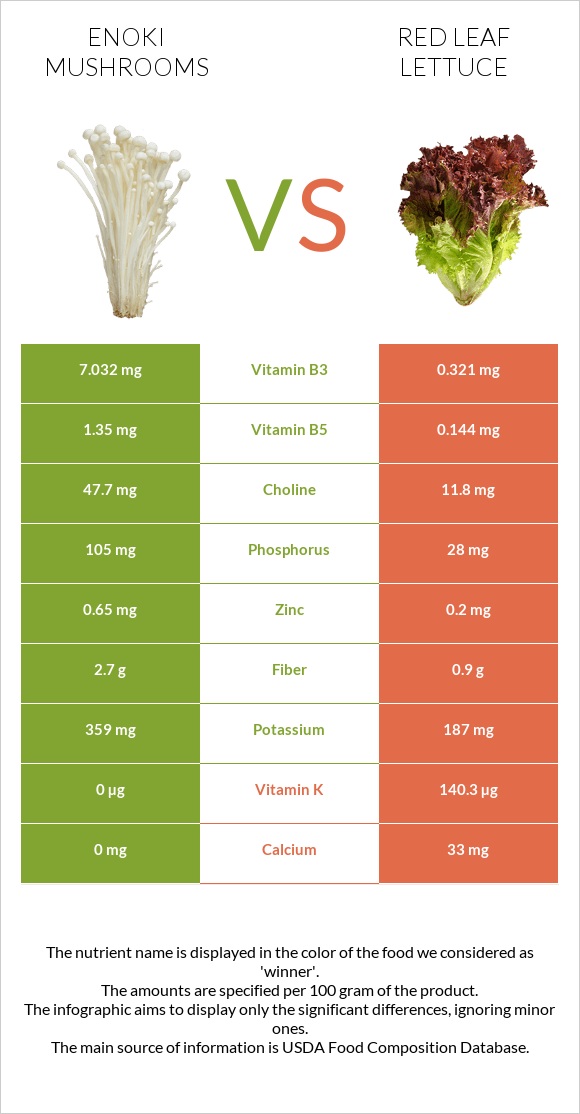 Enoki mushrooms vs Red leaf lettuce infographic