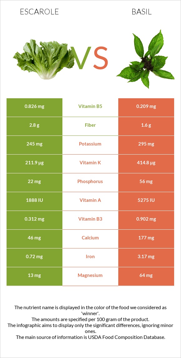 Escarole vs Basil infographic