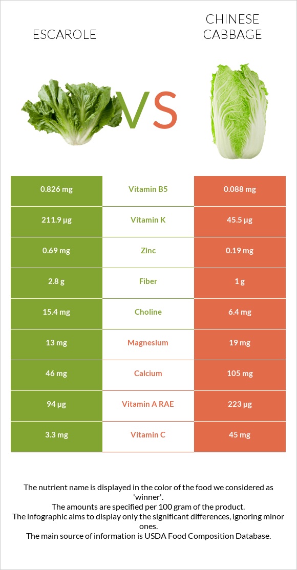 Escarole vs Chinese cabbage infographic