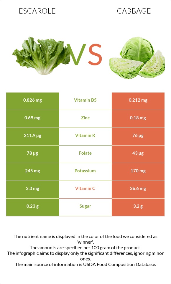 Escarole vs Cabbage infographic