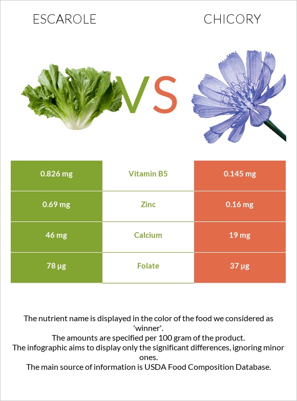 Escarole vs Chicory infographic