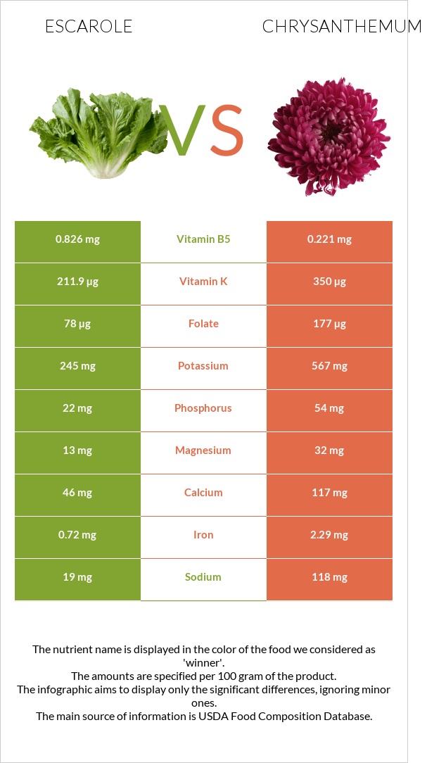 Escarole vs Chrysanthemum infographic