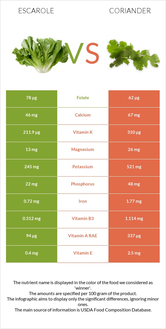 Escarole vs Coriander infographic