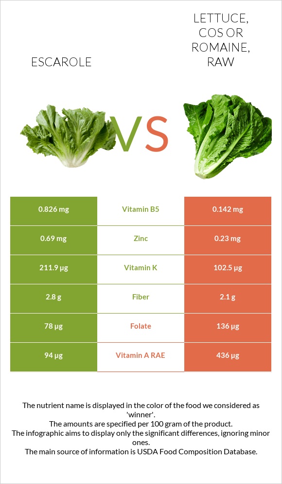 Escarole vs Lettuce, cos or romaine, raw infographic