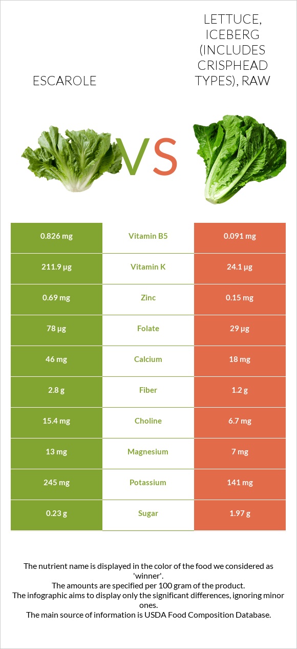 Escarole vs Lettuce, iceberg (includes crisphead types), raw infographic