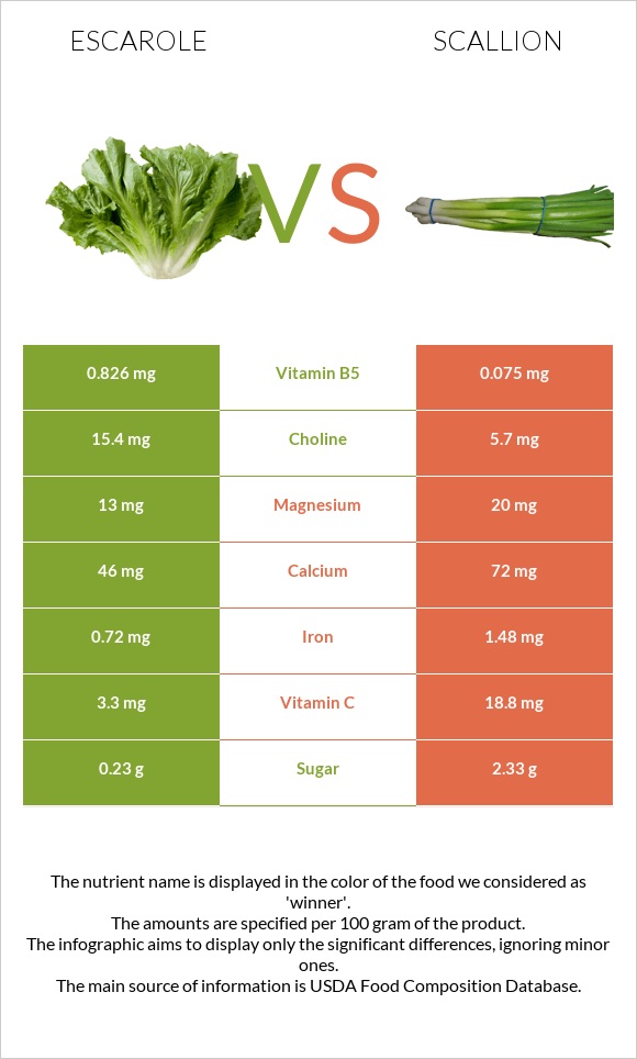 Escarole vs Կանաչ սոխ infographic