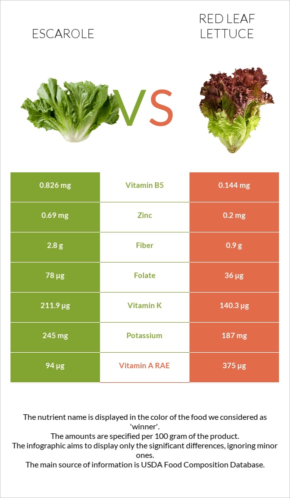 Escarole vs Red leaf lettuce infographic