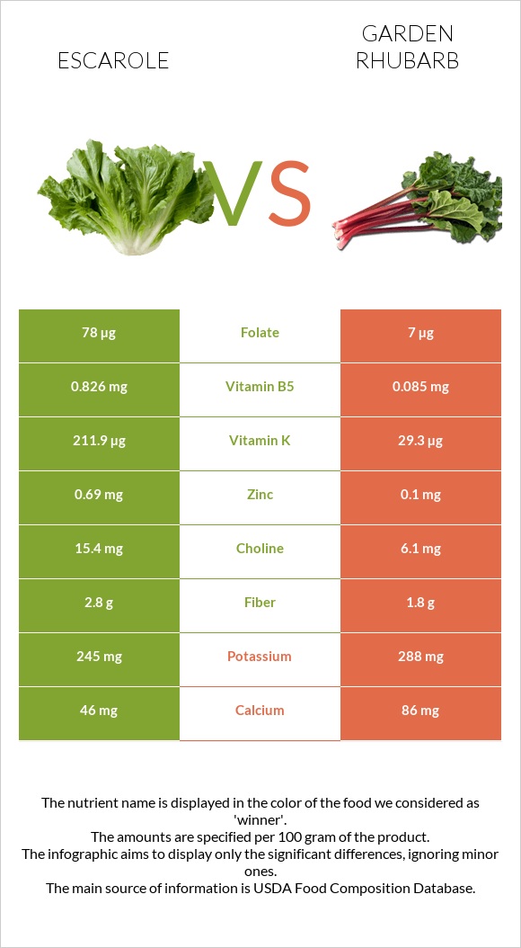 Escarole vs Garden rhubarb infographic