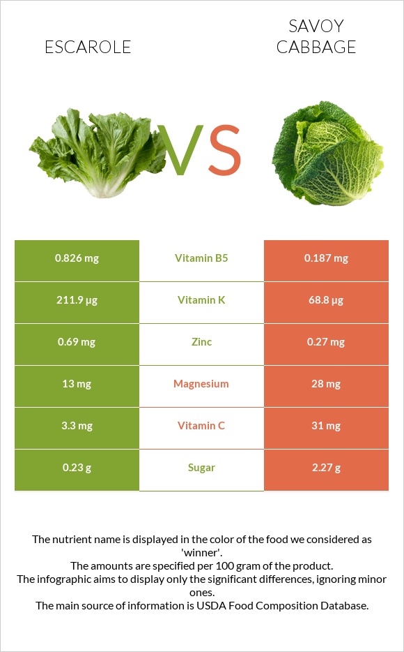 Escarole vs Savoy cabbage infographic