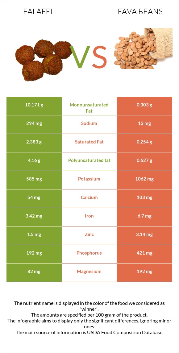 Ֆալաֆել vs Fava beans infographic