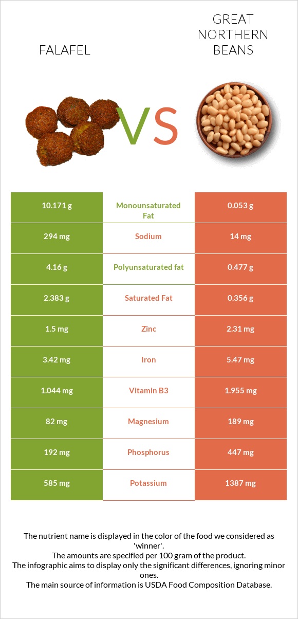 Falafel vs Great northern beans infographic