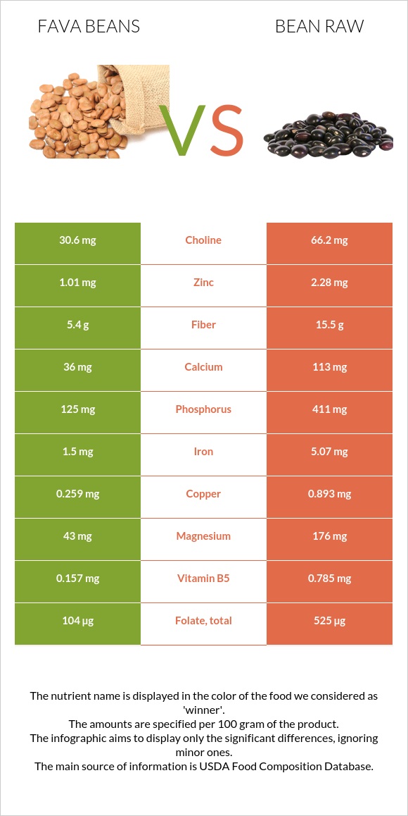 Fava beans vs Bean raw infographic