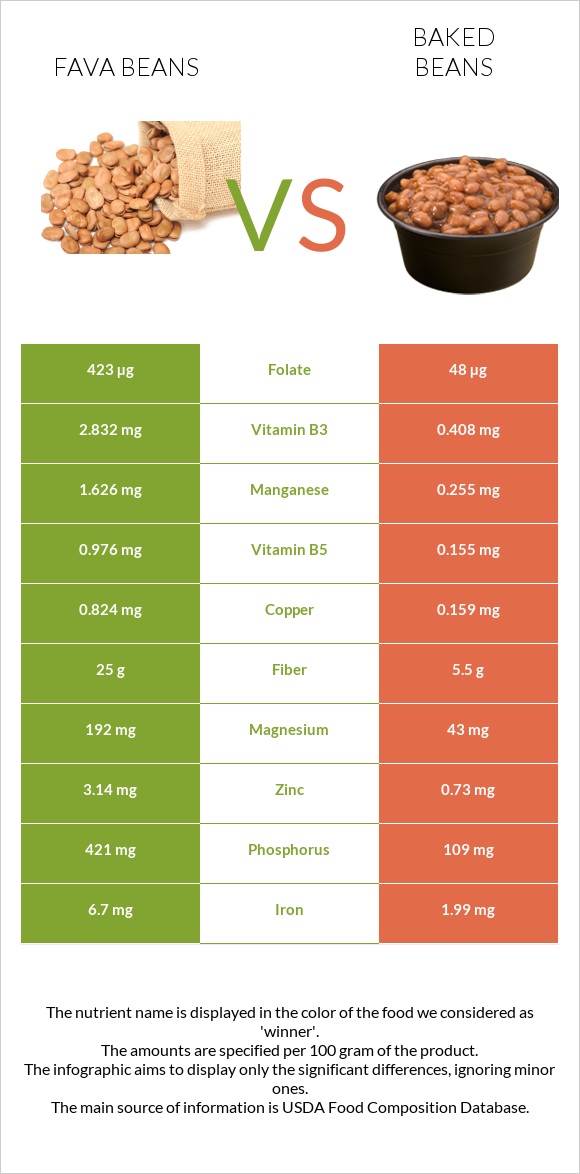 Fava beans vs Եփած լոբի infographic