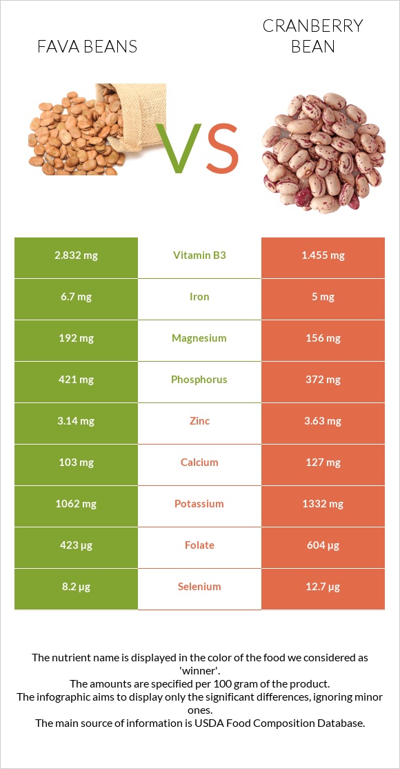 Fava beans vs Cranberry beans infographic