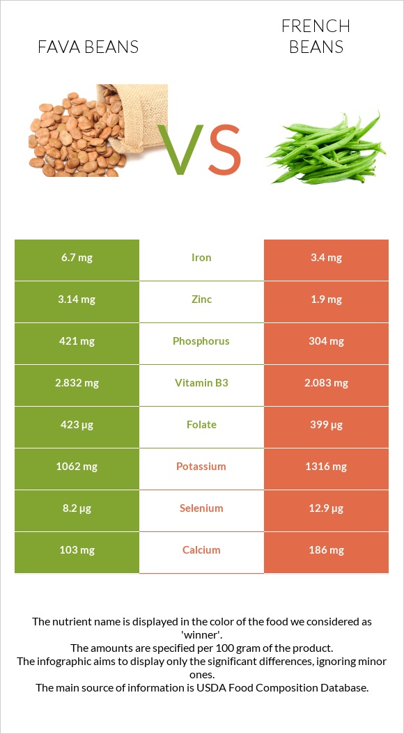 Fava beans vs French beans infographic