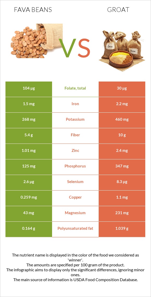 Fava beans vs Groat infographic