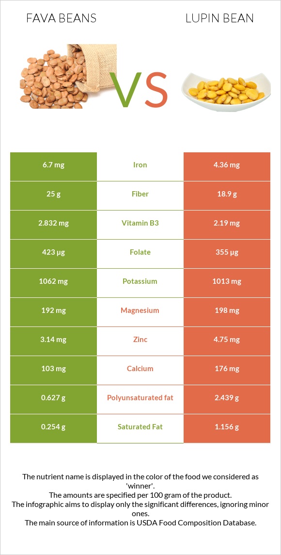 Fava beans vs Լոբի լուպին infographic