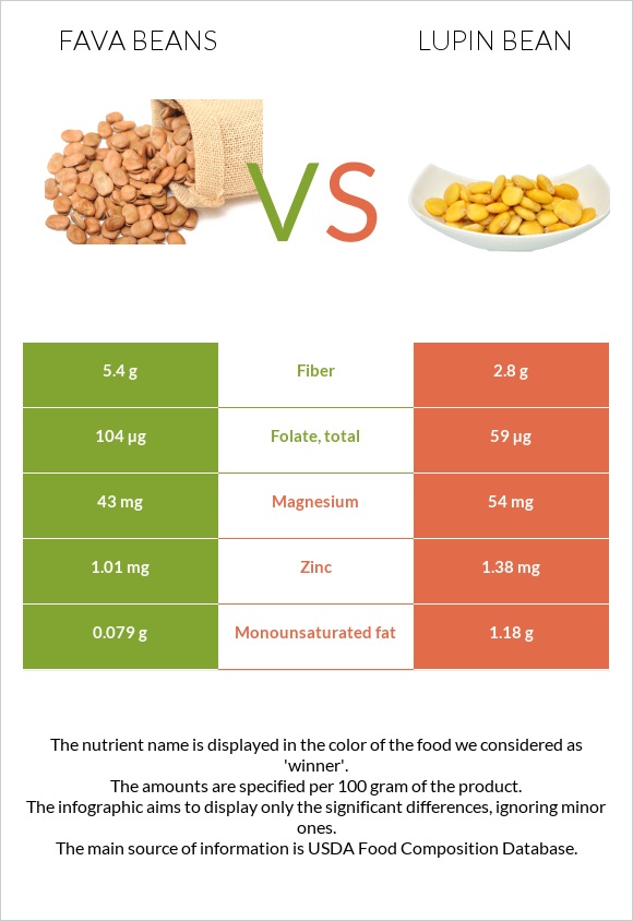 Fava beans vs Լոբի լուպին infographic