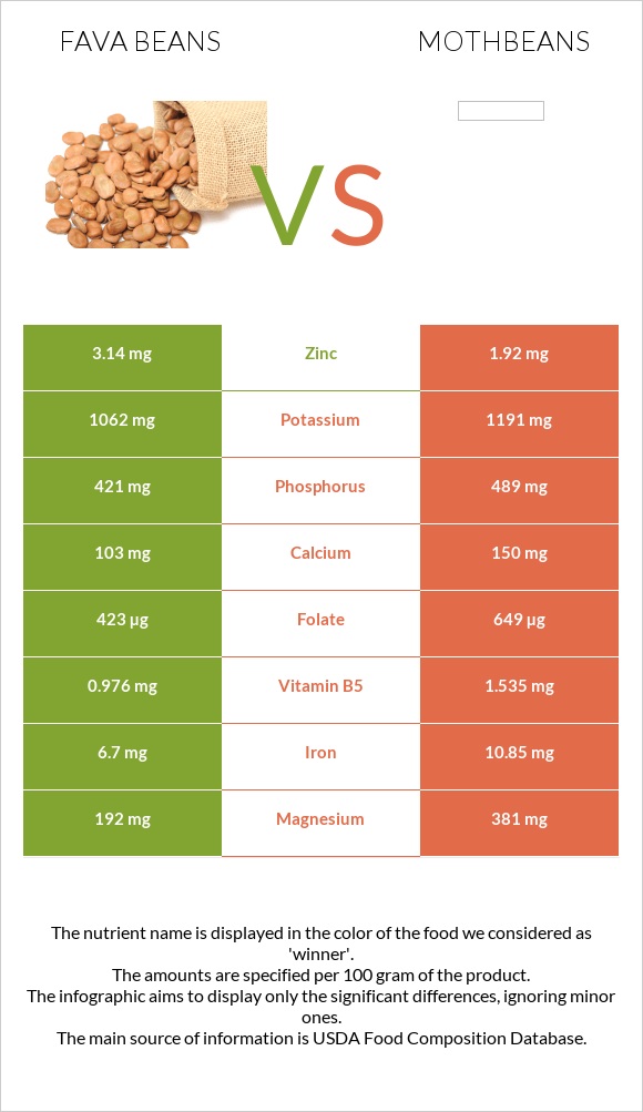 Fava beans vs Mothbeans infographic