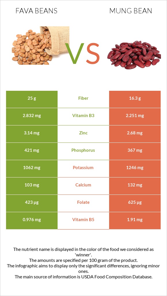 Fava beans vs Լոբի մունգ infographic