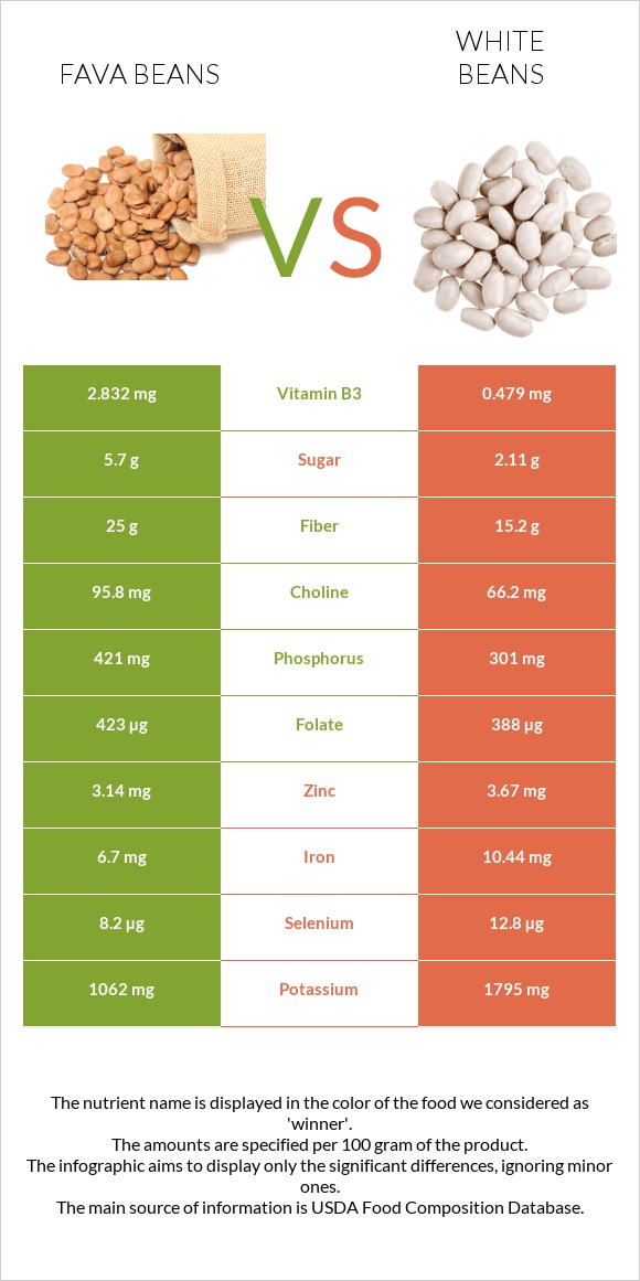 Fava beans vs White beans infographic
