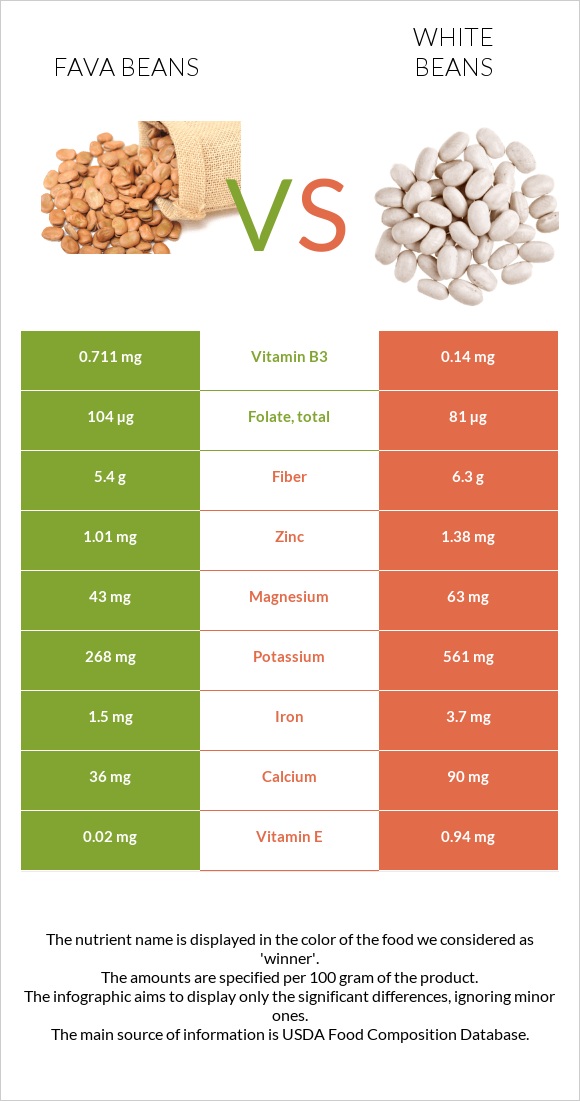 Fava beans vs White beans infographic