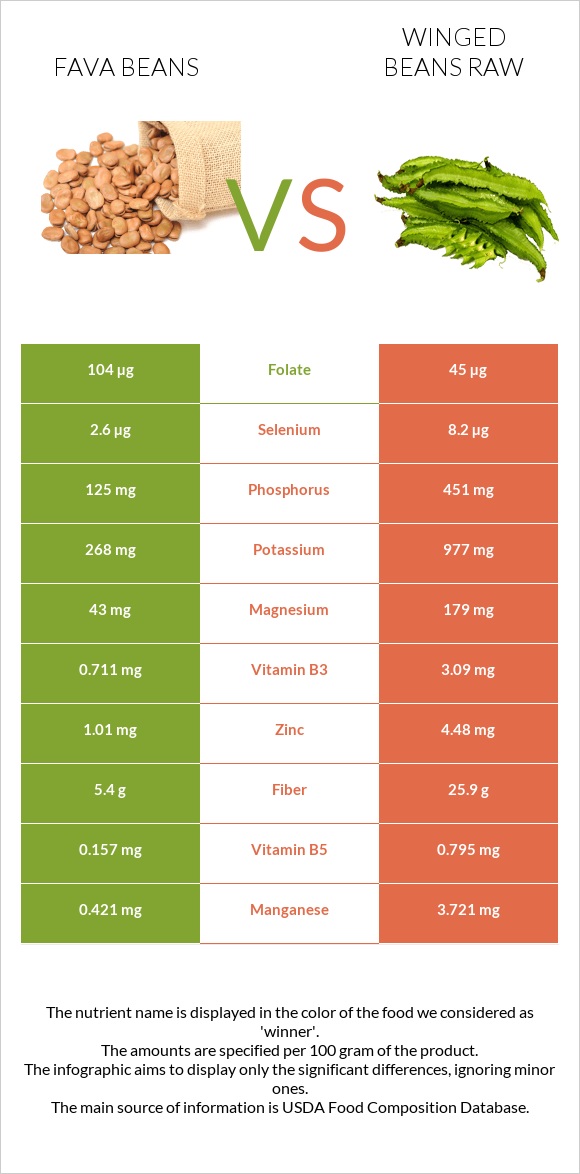 Fava beans vs Winged beans raw infographic