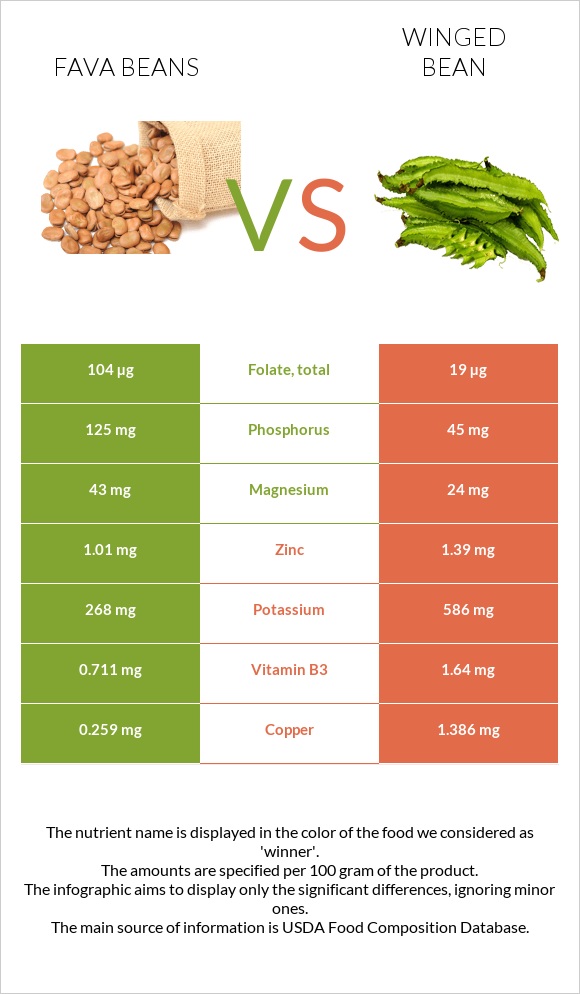 Fava beans vs Winged bean infographic