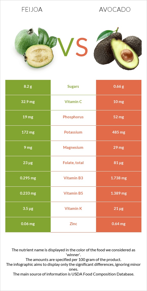 Feijoa vs Avocado infographic