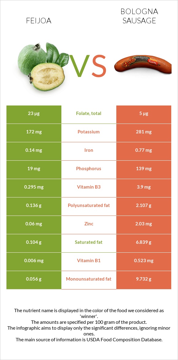 Feijoa vs Bologna sausage infographic