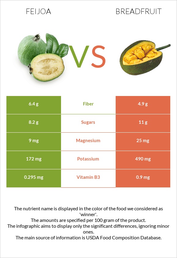 Feijoa vs Breadfruit infographic
