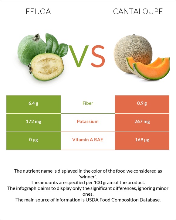 Feijoa vs Cantaloupe infographic