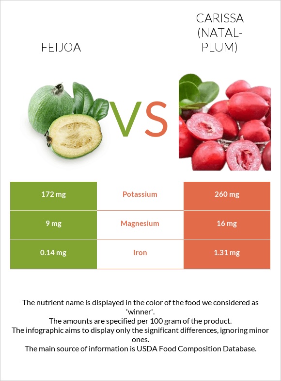 Feijoa vs Carissa (natal-plum) infographic