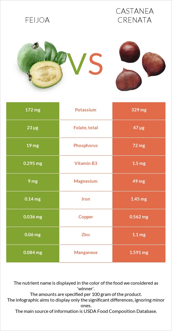 Feijoa vs Castanea crenata infographic