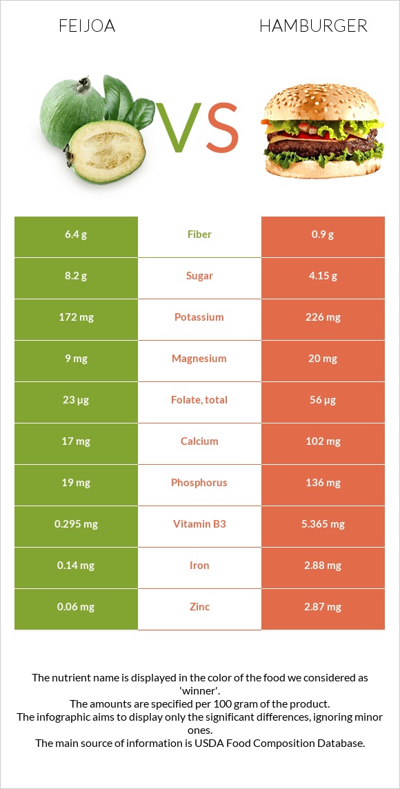 Feijoa vs Hamburger infographic