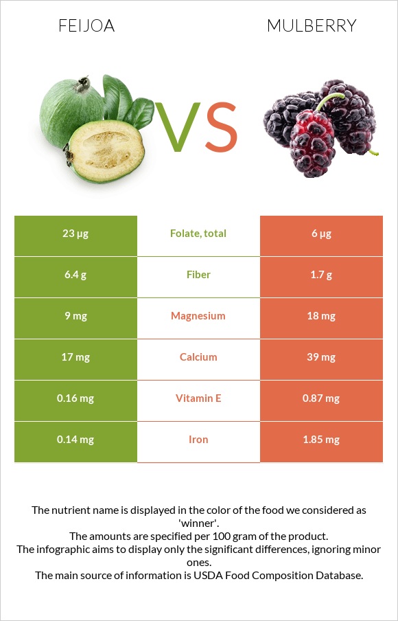Feijoa vs Mulberry infographic