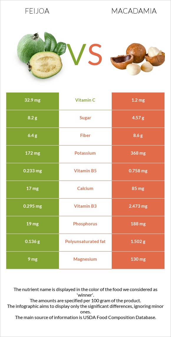 Feijoa vs Macadamia infographic