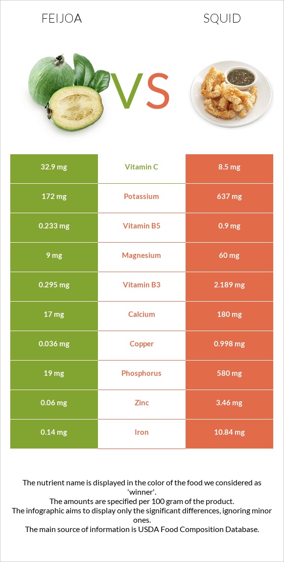 Feijoa vs Squid infographic