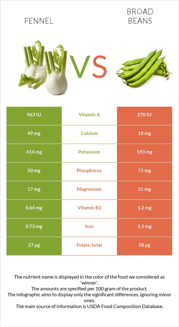 Fennel vs Broad beans infographic