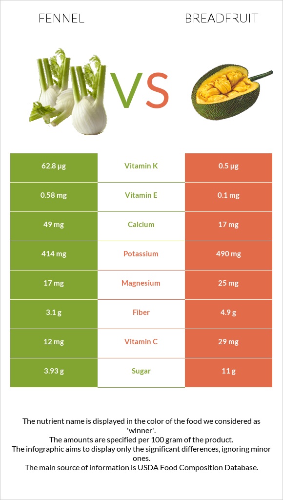 Fennel vs Breadfruit infographic