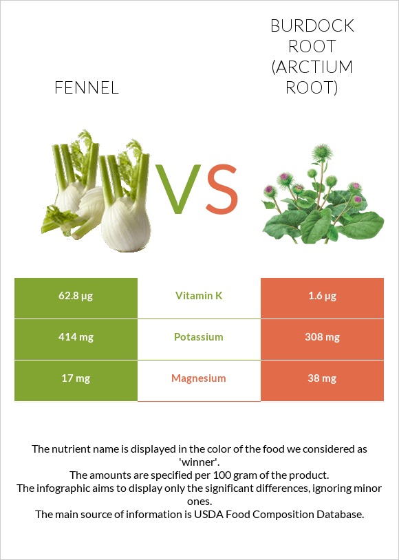 Fennel vs Burdock root infographic