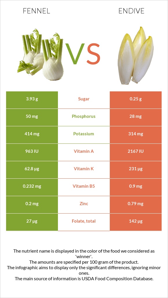 Ֆենխել vs Endive infographic