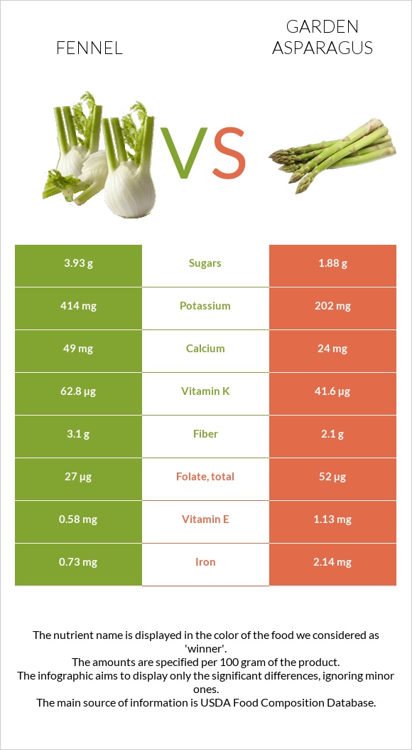 Fennel vs Garden asparagus infographic