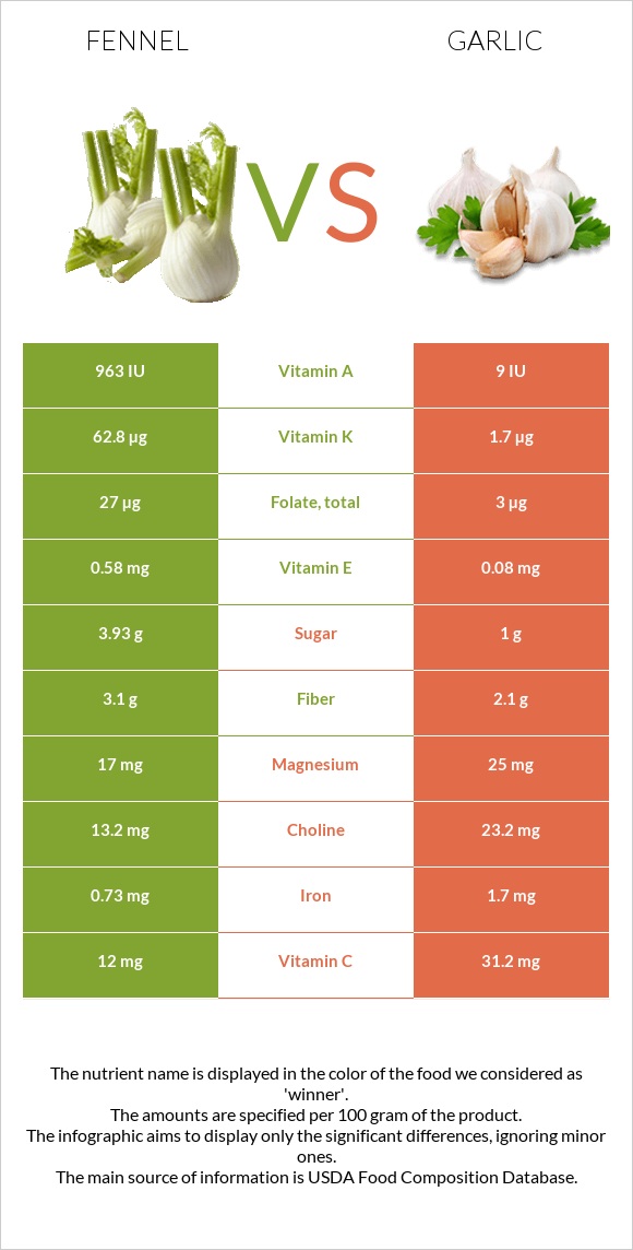 Ֆենխել vs Սխտոր infographic