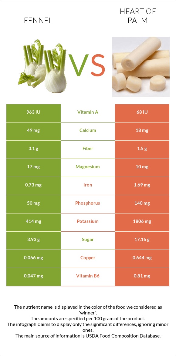 Fennel vs Heart of palm infographic