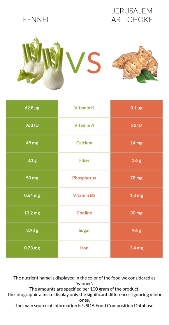 Fennel vs Jerusalem artichoke infographic