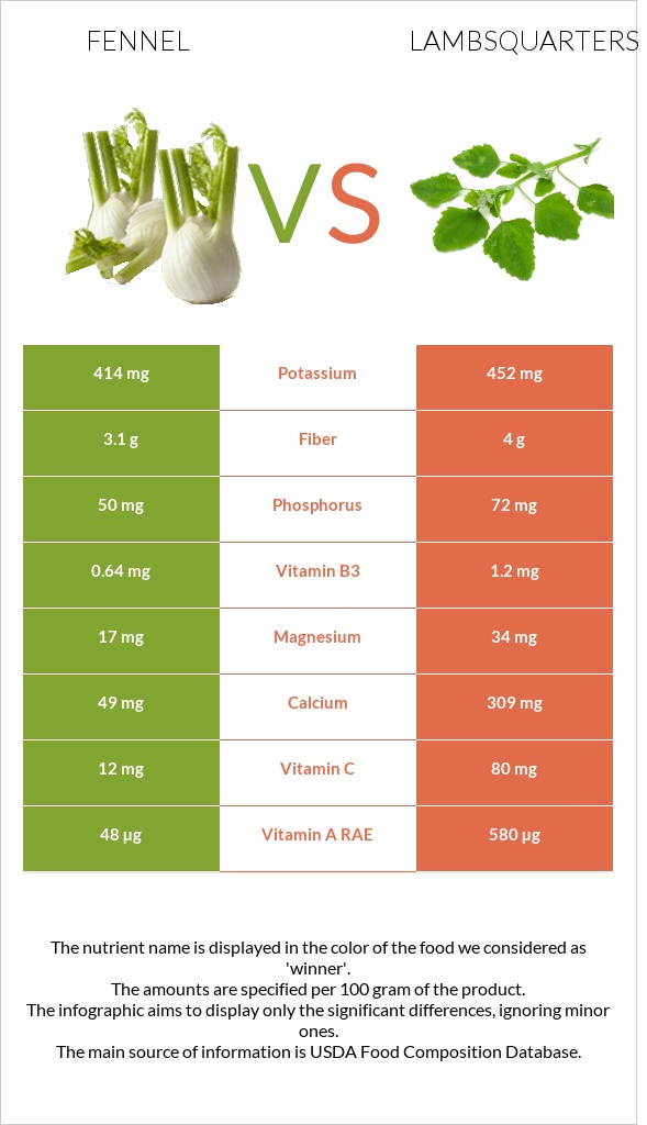 Fennel vs Lambsquarters infographic